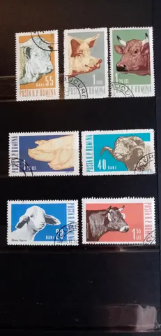 Timbres