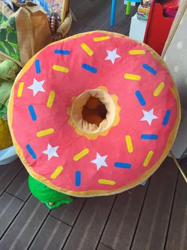 donuts peluche gros format