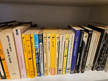 livres policiers poche 200