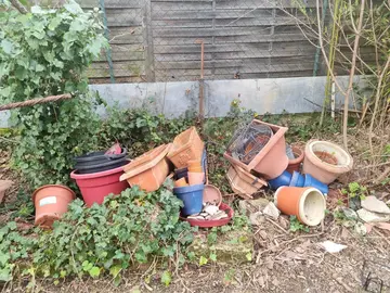 lot de pots et de jardiniere