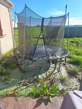 trampoline