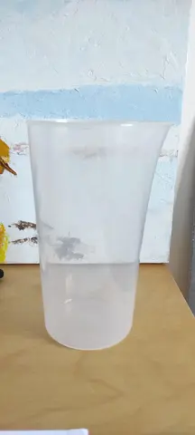 verre doseur plastique