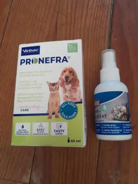 produits chat vieillissant