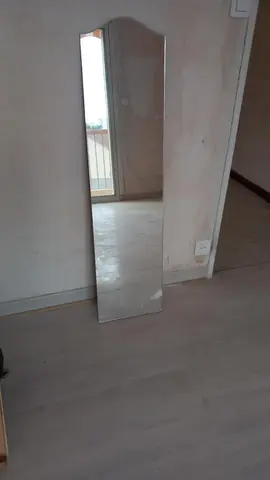 miroir 30 x 120