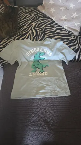 t-shirt dinausore 4/5ans