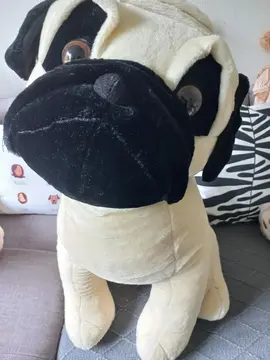 Donne grande peluche chien assis