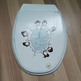 Lunettes de toilettes