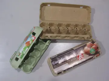 Boites d'oeufs vides