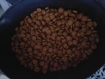 croquettes pour chien