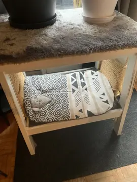 petit meuble pour chat