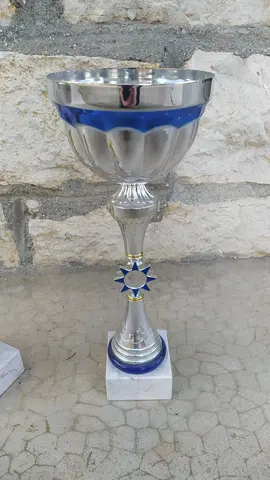 Lot de 3 coupes sportives