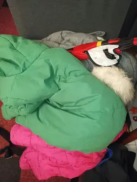 manteaux et chaussures enfants