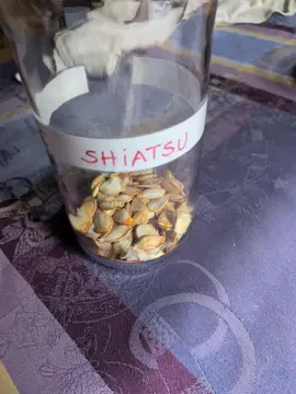 graines de courges shiatsu ( 10 environ )