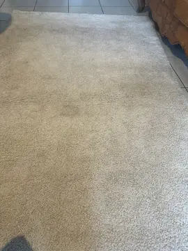 tapis. voir renseignement sur étiquette.