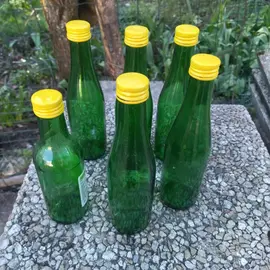 10 bouteilles de 250ml