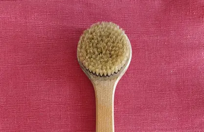 brosse pour le dos