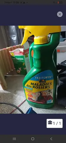 produits pour maladie des rosiersq