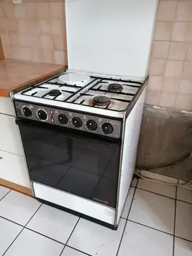 Gaziniere four electrique