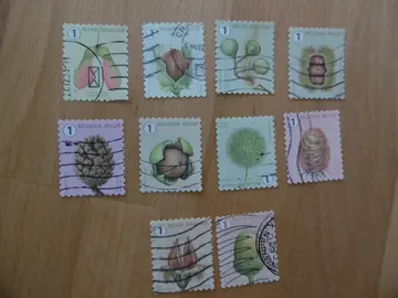 Série complète BELGIQUE FRUITS ARBRES AUTOMNE