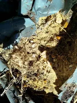 ciment pour construction béton