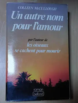 Un autre nom pour l'amour (Roman)