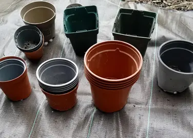 pots de plantes en plastique