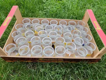 petits pots de yaourt