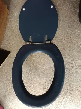 lunette de toilettes