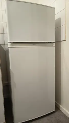 Frigo Proline DD131-1