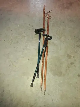 Batons de randonnée