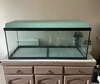 aquarium 120 litre