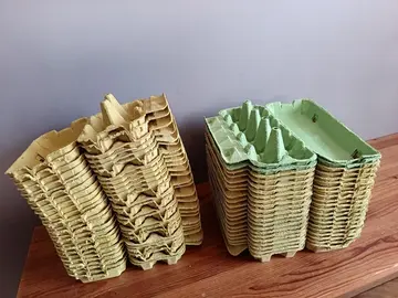 boîtes à oeufs