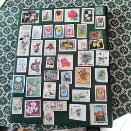 donne timbres collection fleurs