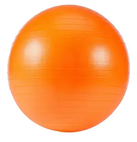 Ballon de gym 55cm