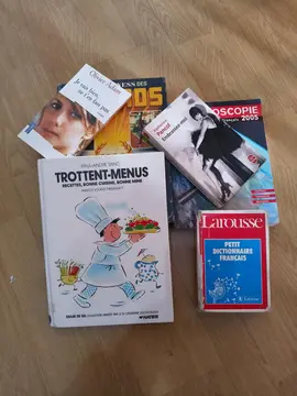 lot de dictionnaire et livres