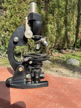 Microscope ZEISS