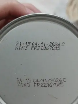 Terrine pour chat junior neuf