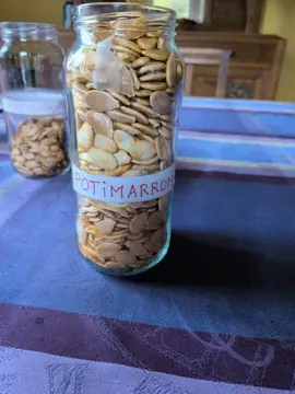 dix graines de potimarron