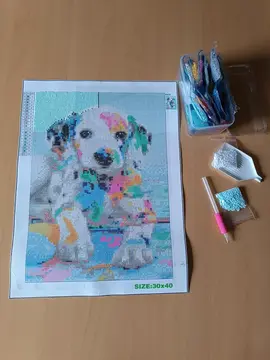 Diamond painting commencé