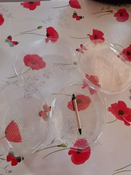 4 barquettes en plastique