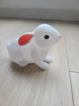 petite vieillesse lapin