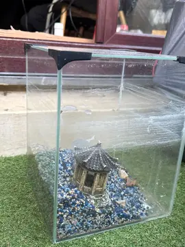 petit aquarium carre