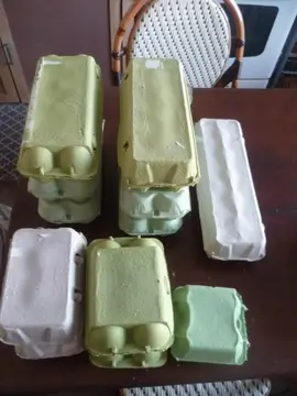 Boites d'oeufs différentes taille