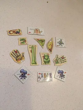 aimants publicitaires corps humain