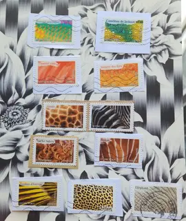 Timbres oblitérés animaux en couleurs 🦒
