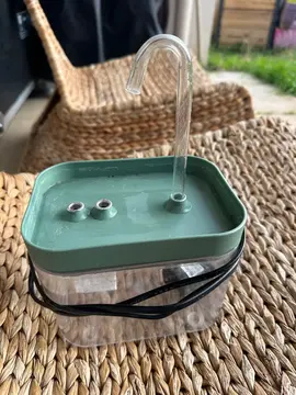 fontaine électrique pour chat