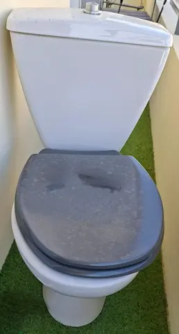 WC en parfait état