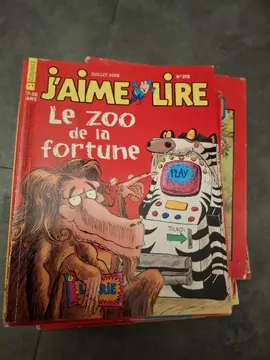 Lot 30 revues pour jeunes lecteur
