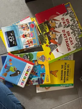 lot livres enfants