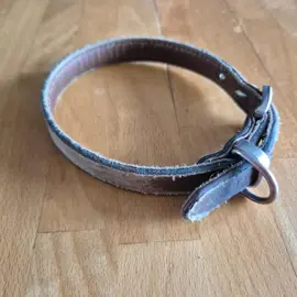 Collier pour chien - 47 cm